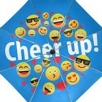 Fundraising Page: Karin Bertolini